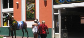 Ponturi de calatorie in Buenos Aires